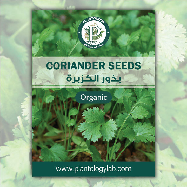 Coriander Seeds