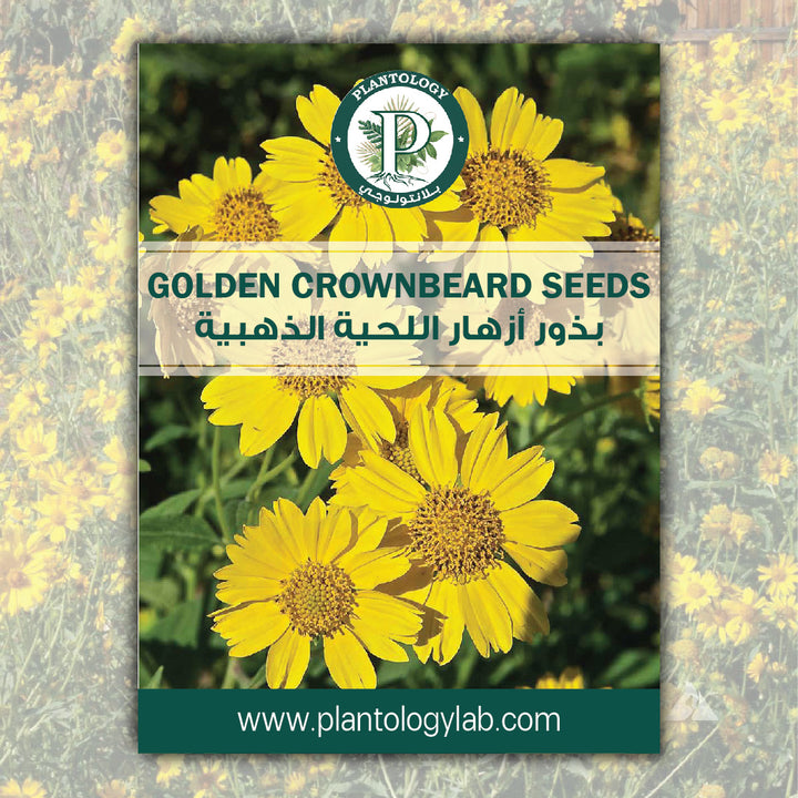 Golden Crownbeard Seeds