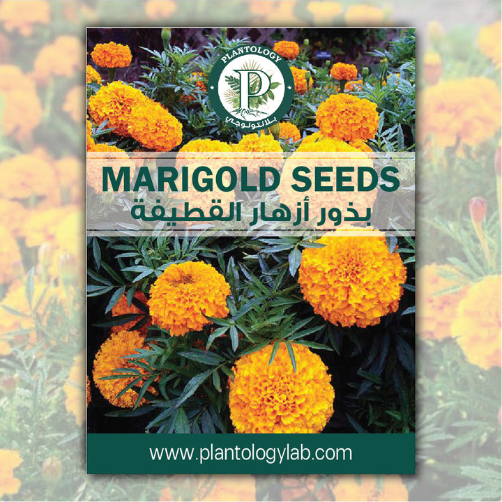 Marigold Seeds