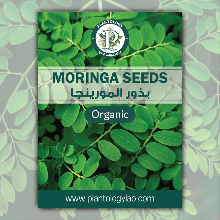 Moringa Seeds