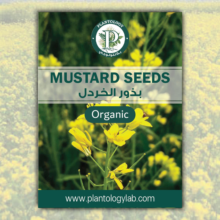 Mustard Seeds