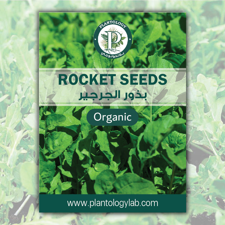 Rocket Seeds