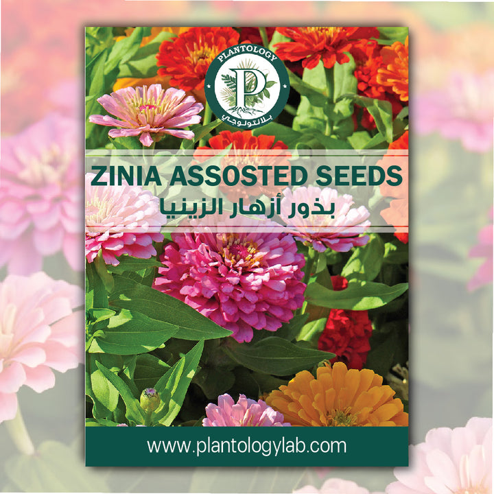 Zinia Assorted Seeds