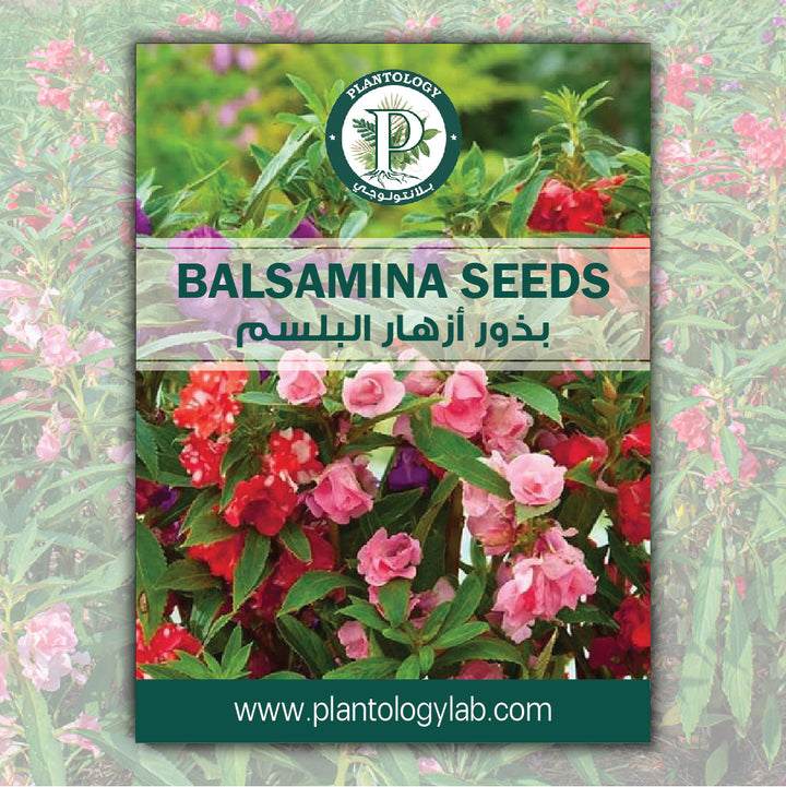 Balsamina Seeds