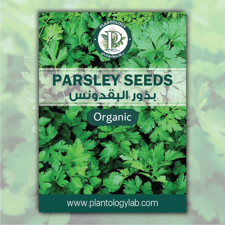 Parsley Seeds