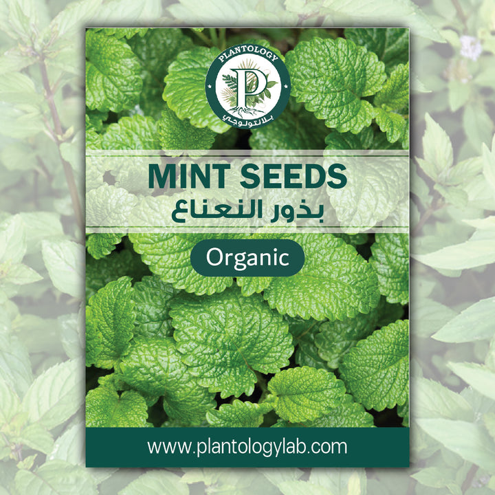 Mint Seeds