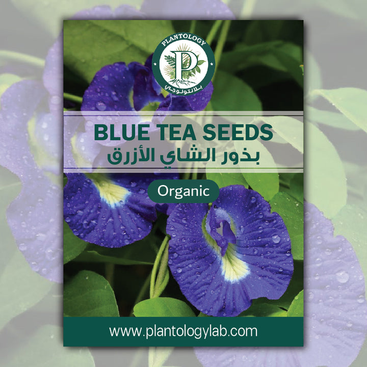 Blue Tea Seeds