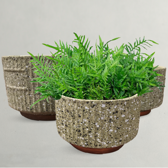 3Pcs Set Ceramic Plant Pots 
