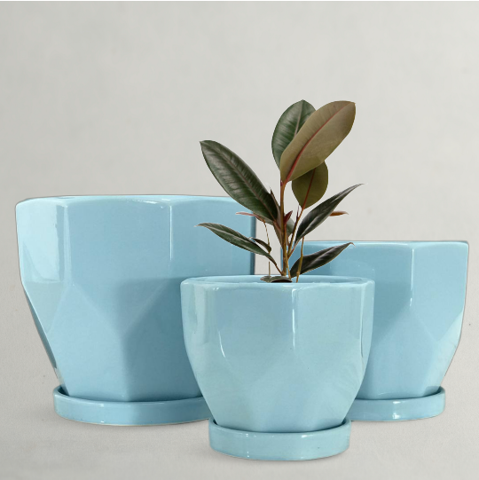 Blue Planters - Blue Plant Pot Buy at Affordable Price