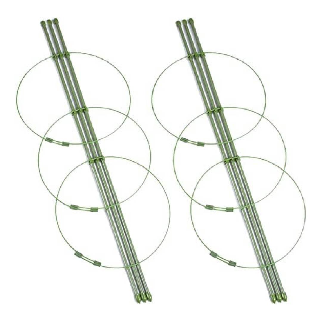 Plants Support Stakes Set of 2