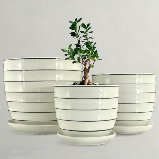 Ceramic Plant Pots 