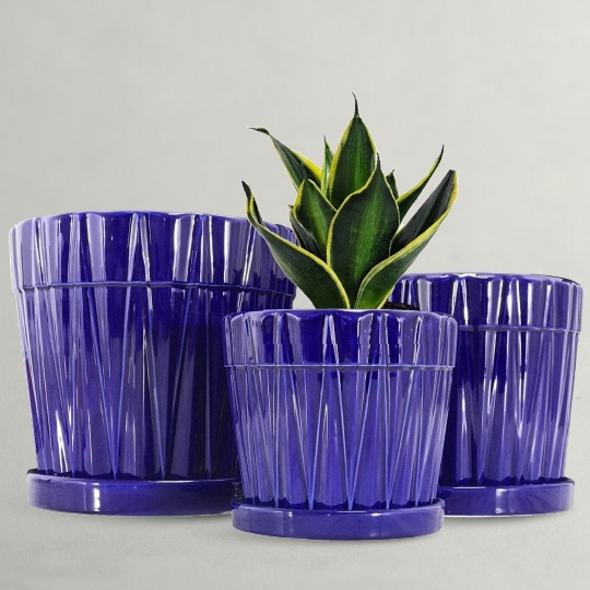Purple Ceramic Planter