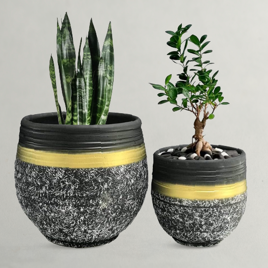 Clay Flower Pots 