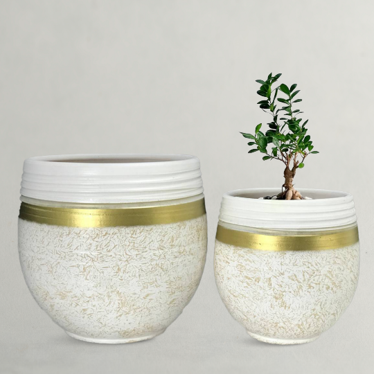 White Clay Pots For Plants