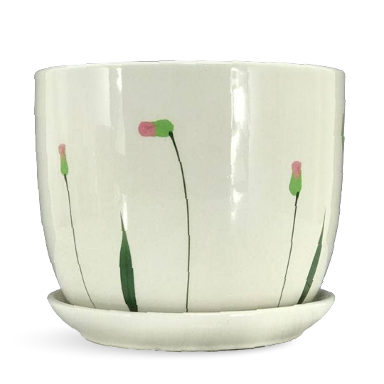 White Ceramic Pot - White Ceramic Flower Pots Buy Online Now