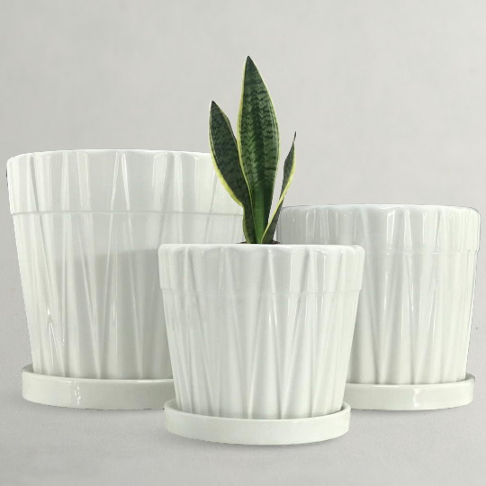 Large Planter Pots - Garden Planters - Buy at Affordable Price