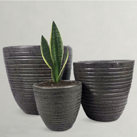 Black Clay Plant Pots - Clay Pots