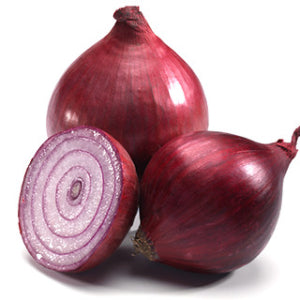 RED ONION SEEDS<br>بذور البصل الأحمر