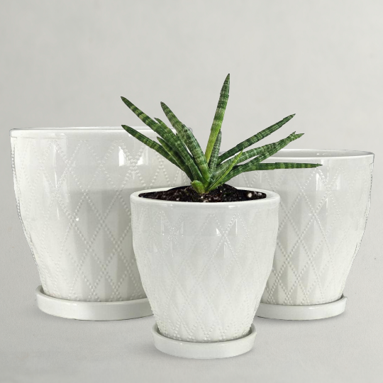 White Ceramic Indoor Planter
