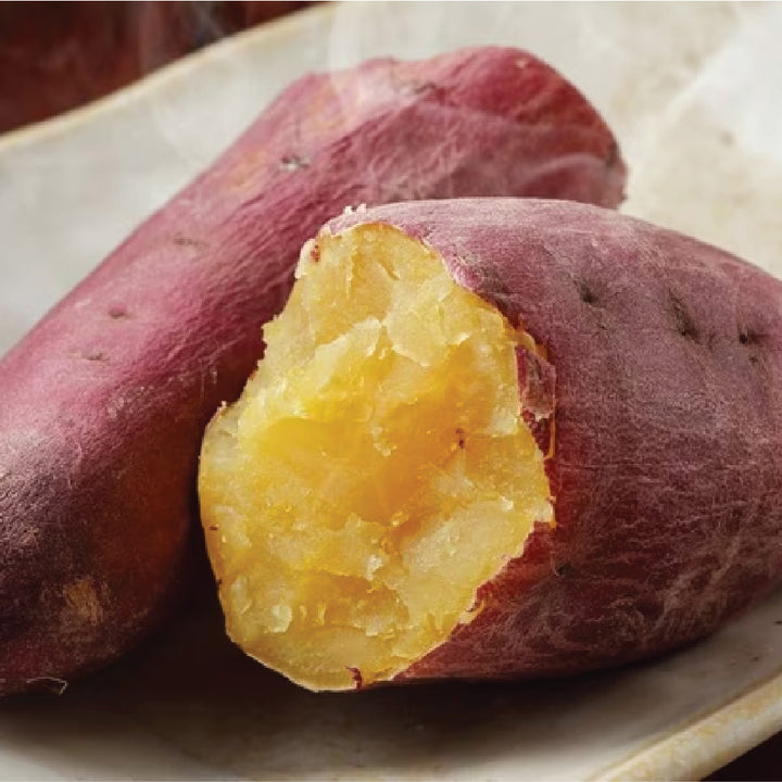 Sweet Potato Seedling