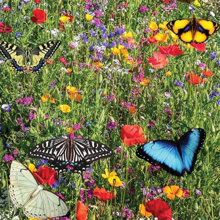 Wildflowers Butterfly Blend Seeds برامج برية جاذبة للفراشات